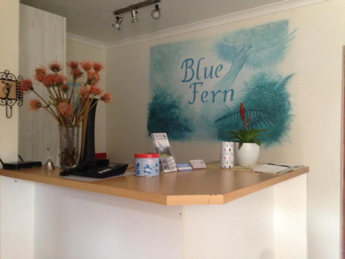 Blue Fern Of Knysna Bed and Breakfast Εξωτερικό φωτογραφία
