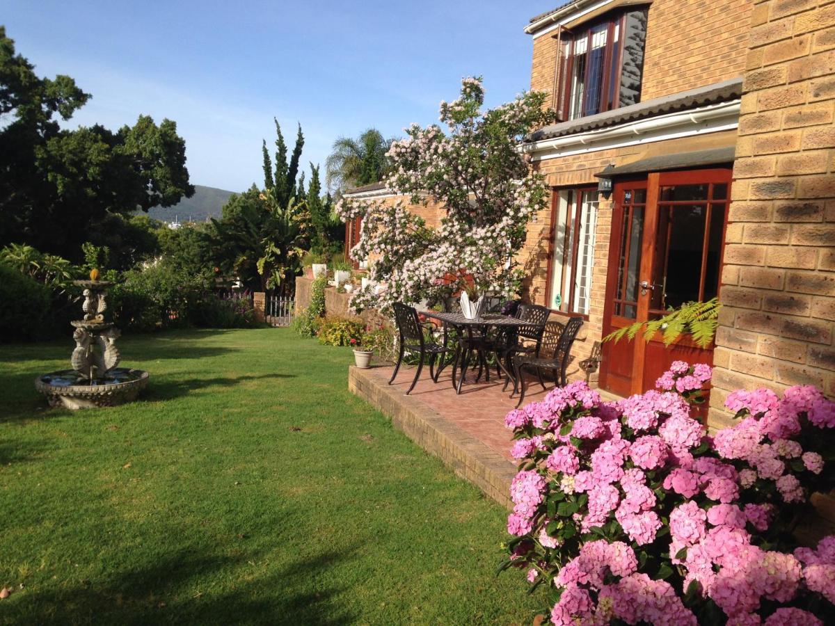 Blue Fern Of Knysna Bed and Breakfast Εξωτερικό φωτογραφία