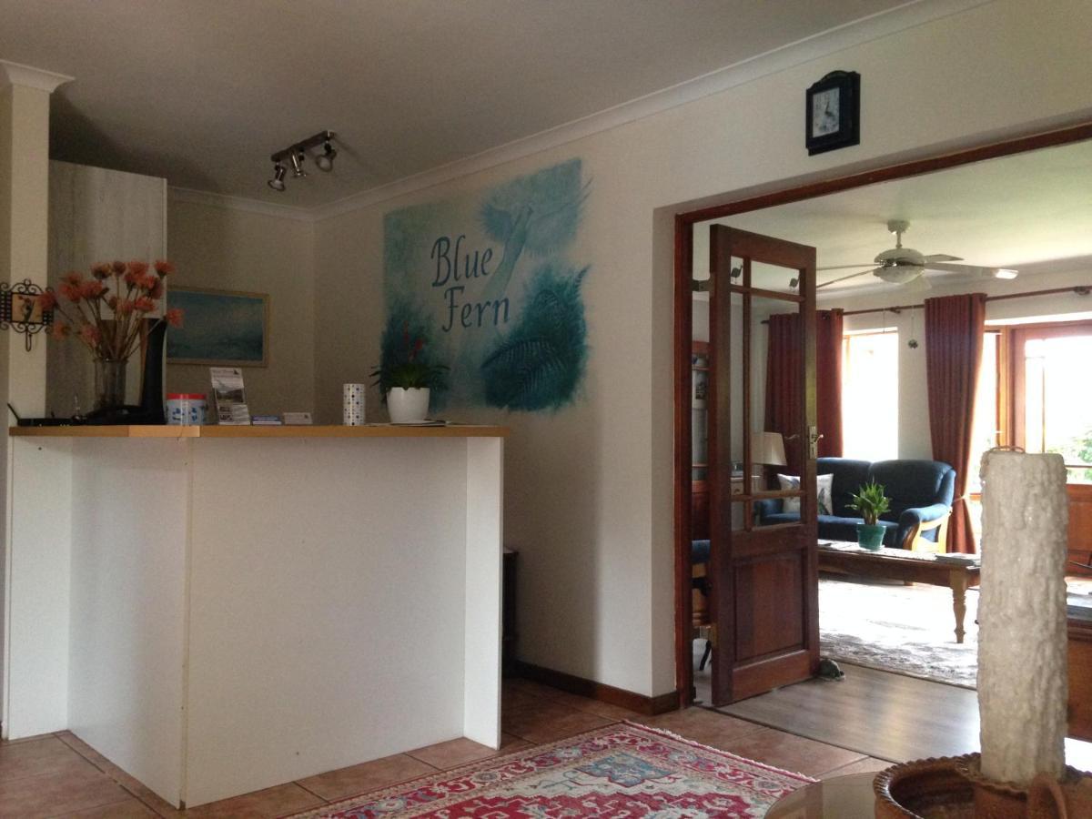 Blue Fern Of Knysna Bed and Breakfast Εξωτερικό φωτογραφία
