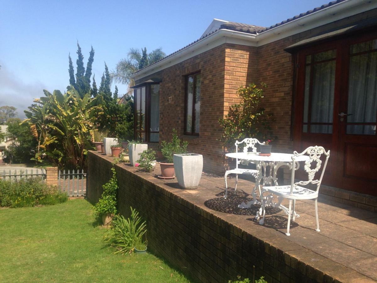 Blue Fern Of Knysna Bed and Breakfast Εξωτερικό φωτογραφία